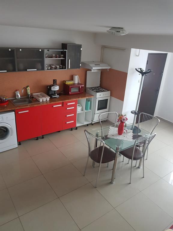 Csikos Apartment 克卢日-纳波卡 外观 照片